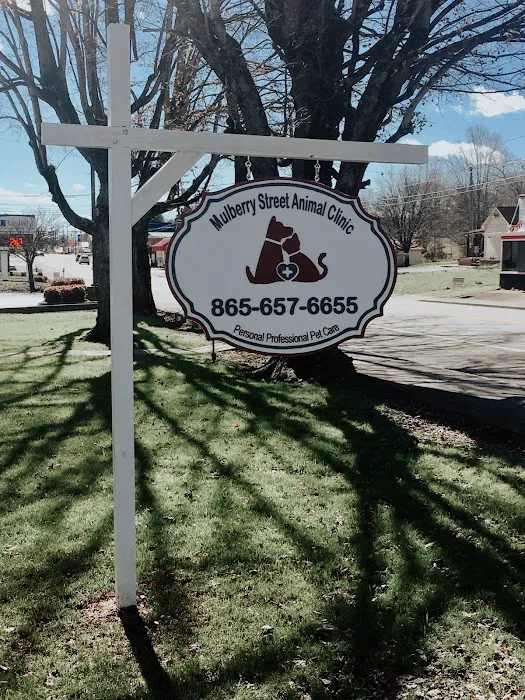 Mulberry Street Animal Clinic 9