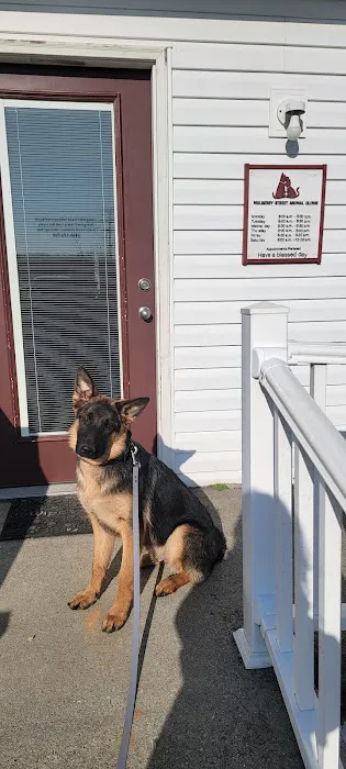Mulberry Street Animal Clinic 7