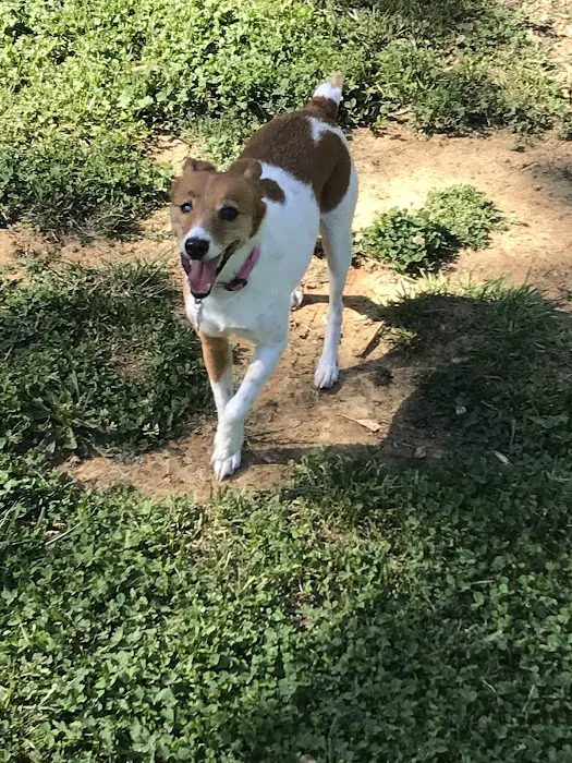 Loudon County Animal Hospital 9