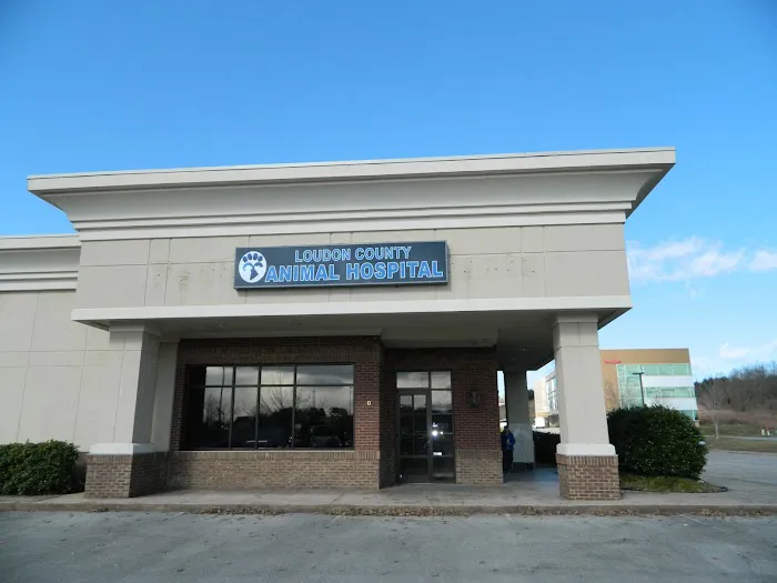 Loudon County Animal Hospital 3