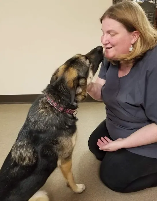 Loudon County Animal Hospital 2