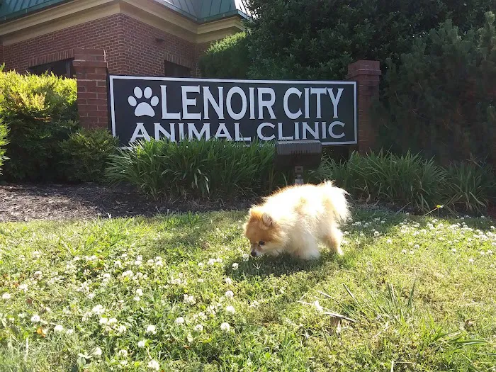 Lenoir City Animal Clinic 3