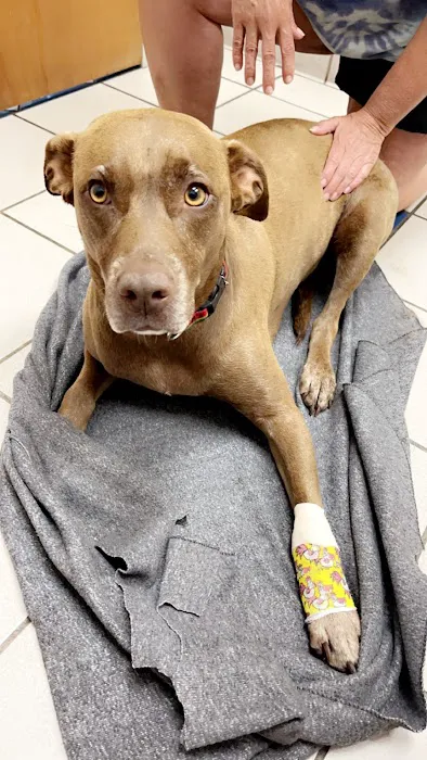 Lenoir City Animal Clinic 2