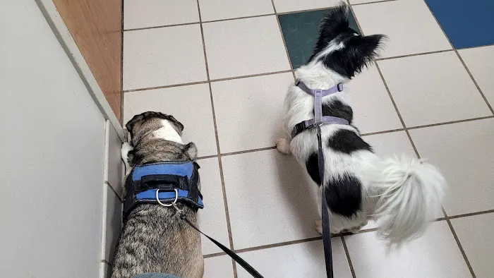Lenoir City Animal Clinic 1
