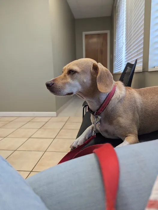 Embassy Veterinary Center Lenoir City 5