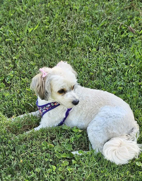 Embassy Veterinary Center Lenoir City 3