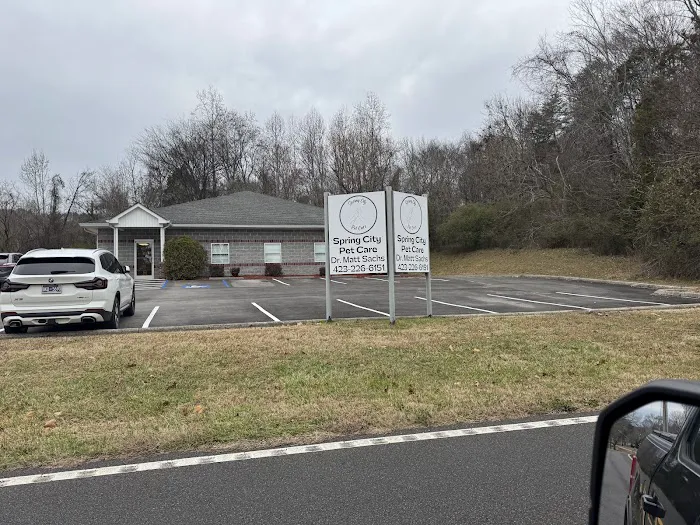 Spring City Pet Care 6