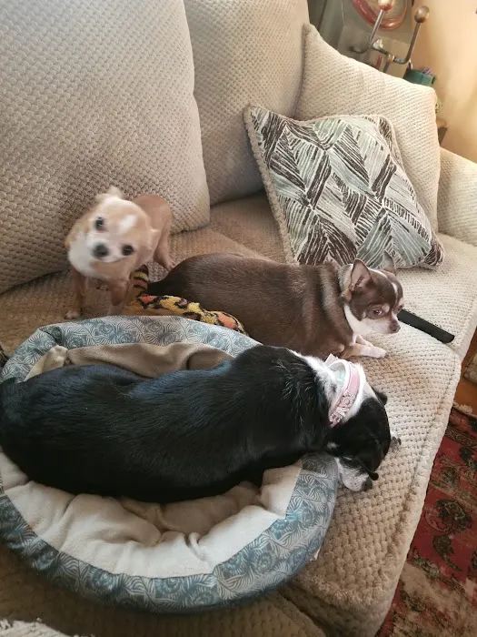 Fairview Veterinary Clinic LLC 10