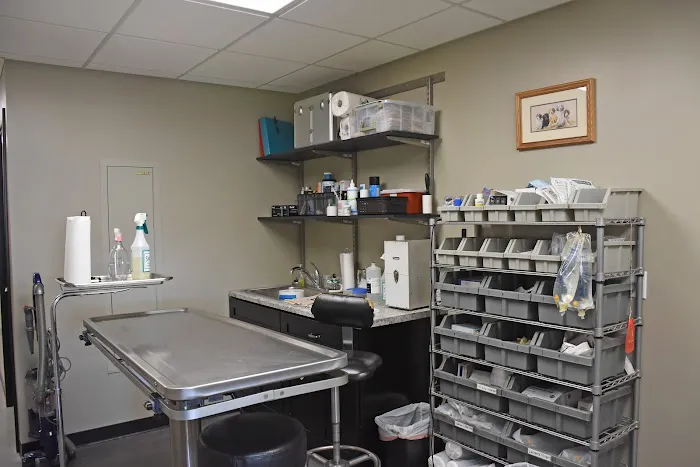 Fairview Veterinary Clinic LLC 4