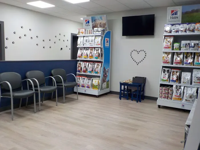 Companion Veterinary Clinic of Greene County 7