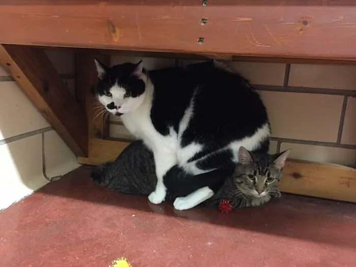 Grand Avenue Veterinary Hospital 3