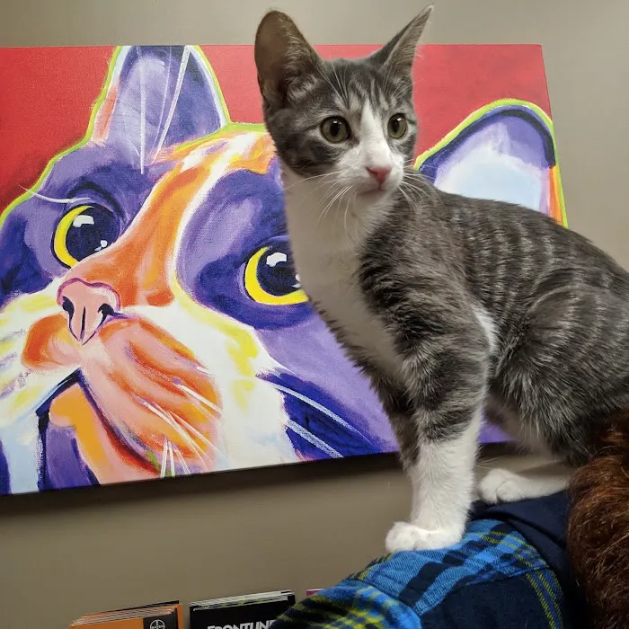 Grand Avenue Veterinary Hospital 9