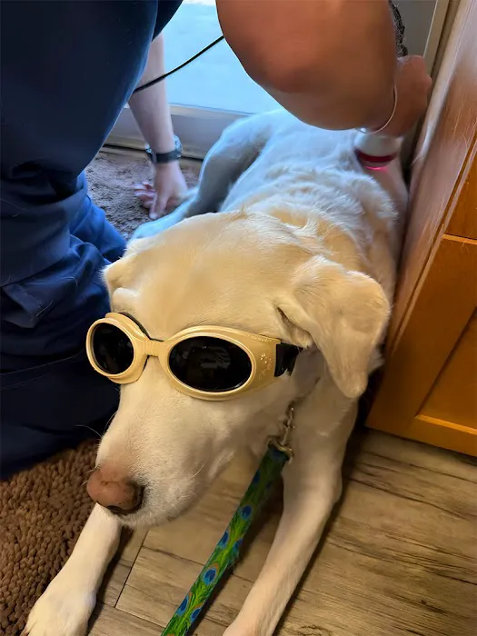 Grand Avenue Veterinary Hospital 2