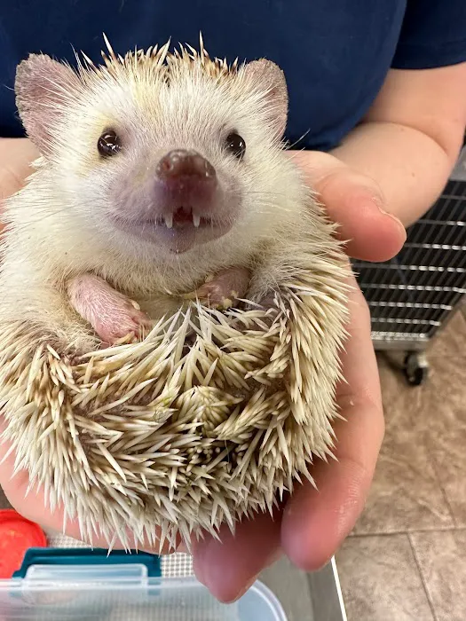 Family Pet Veterinary Center 6