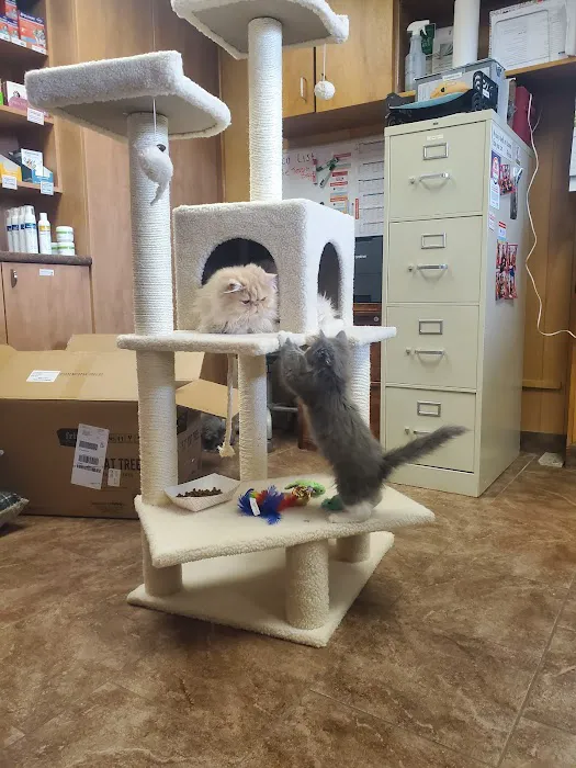 Family Pet Veterinary Center 1