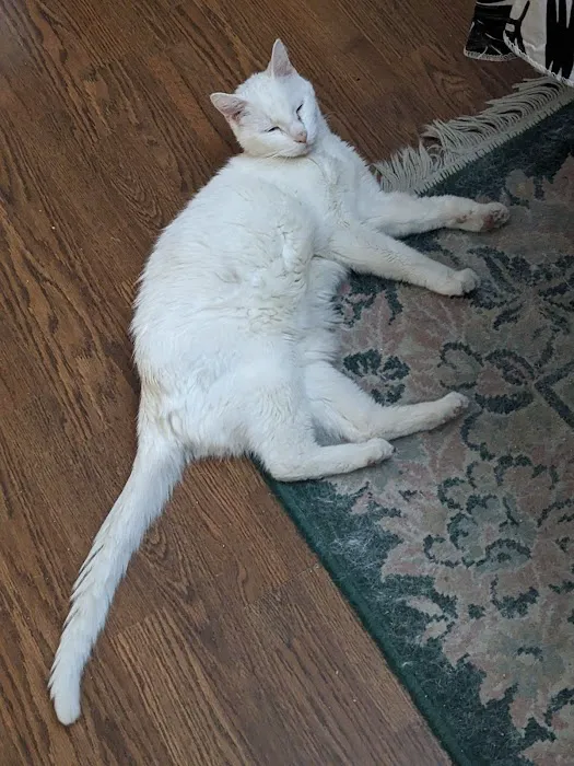 Family Pet Veterinary Center 10