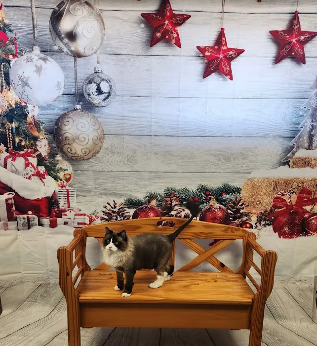 Family Pet Veterinary Center 9