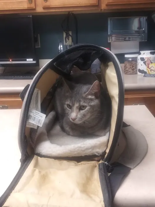 Jordan Creek Animal Hospital 8