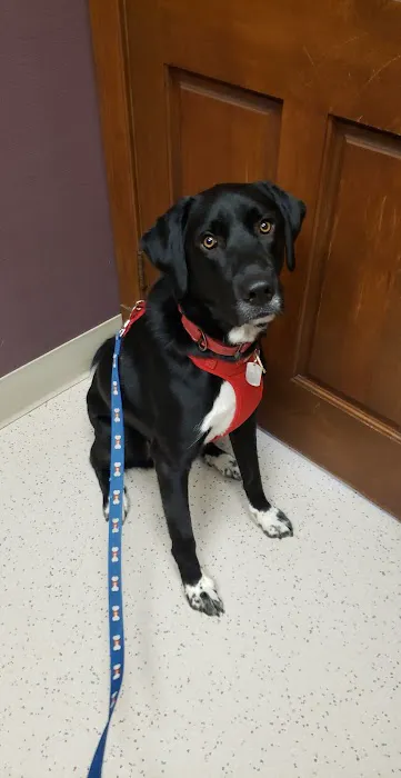 Jordan Creek Animal Hospital 7