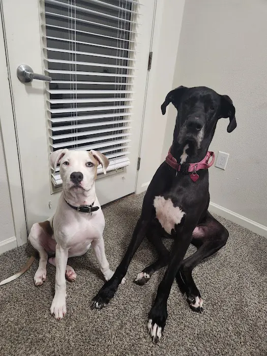 Jordan Creek Animal Hospital 6