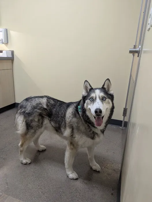 Vetco Total Care Animal Hospital 7