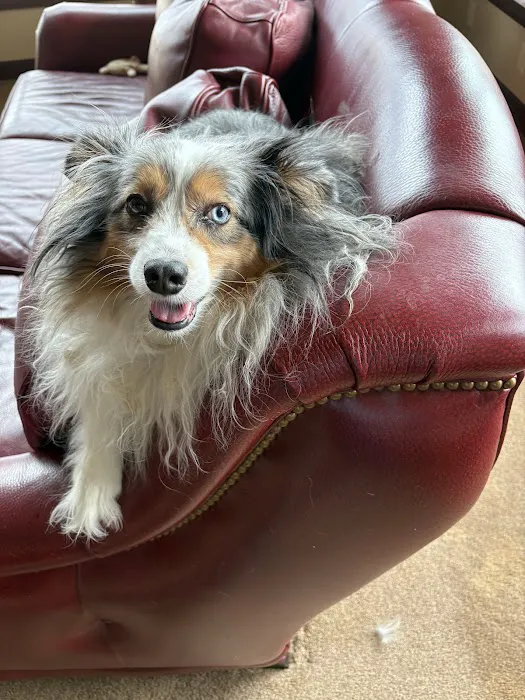 University West Pet Clinic 3