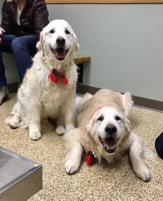 University West Pet Clinic 8