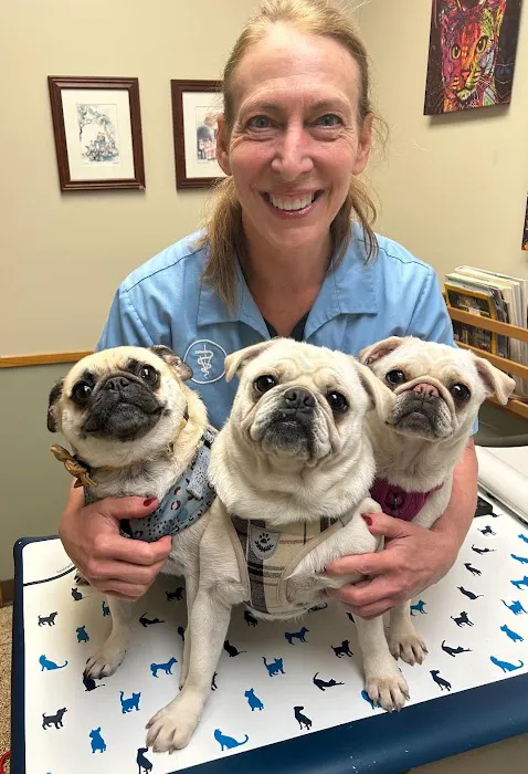 University West Pet Clinic 7