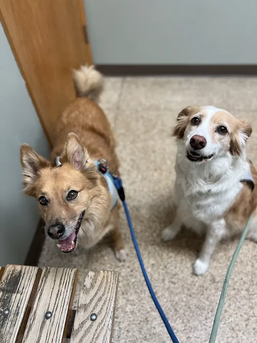 University West Pet Clinic 1