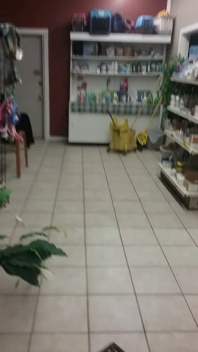 Country Village Animal Clinic 4
