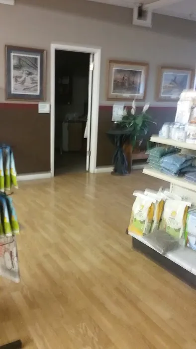 Country Village Animal Clinic 2