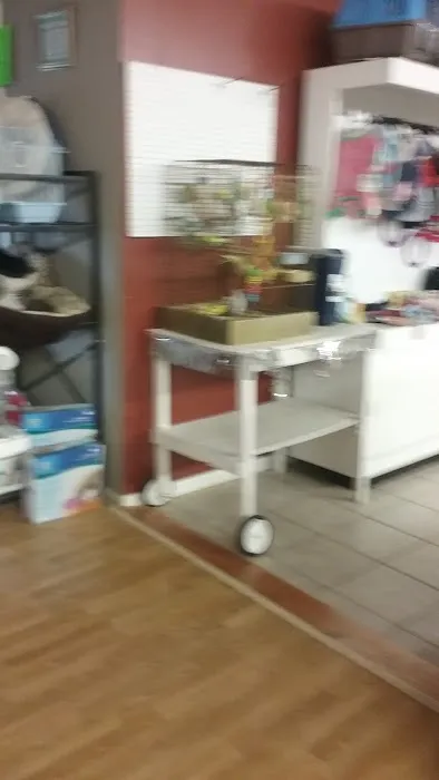 Country Village Animal Clinic 1