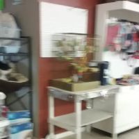 Country Village Animal Clinic ico