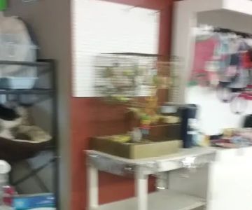 Country Village Animal Clinic