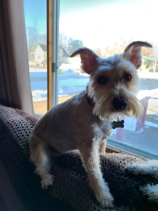 Clearview Animal Hospital 6
