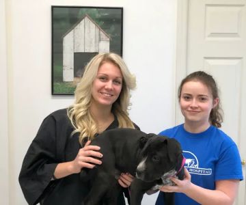Parkside Animal Hospital