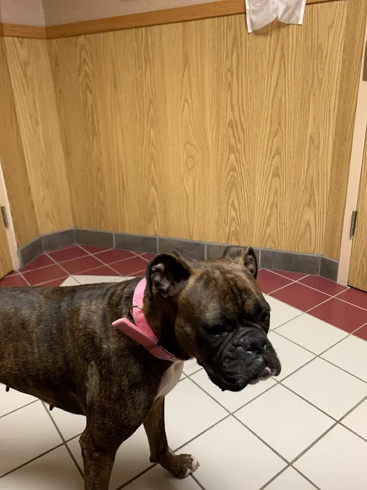 Animal Care Clinic West & Metro Cat Hospital 8