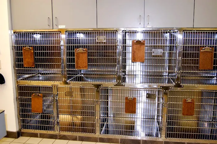 Animal Care Clinic West & Metro Cat Hospital 5