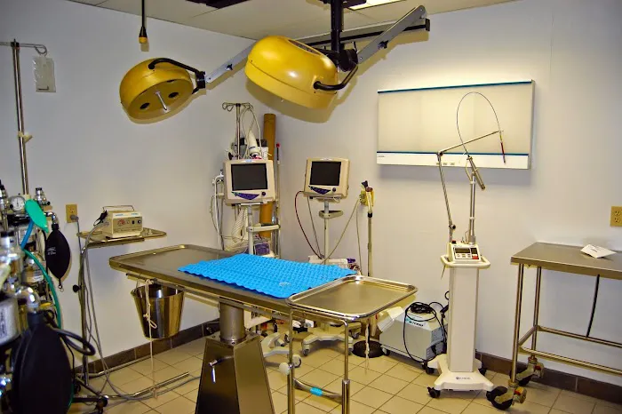 Animal Care Clinic West & Metro Cat Hospital 6