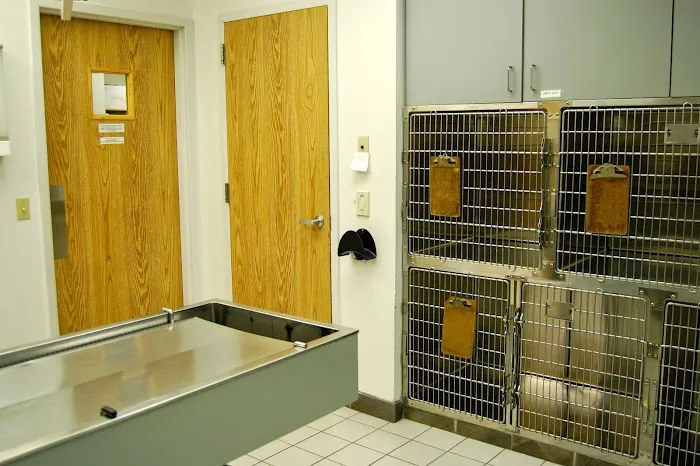 Animal Care Clinic West & Metro Cat Hospital 10