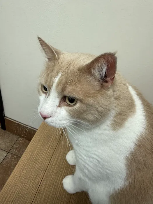 Banfield Pet Hospital 5