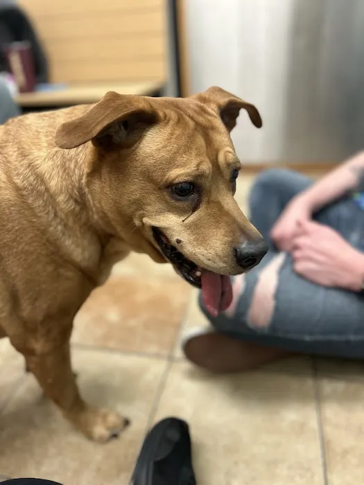 Banfield Pet Hospital 2