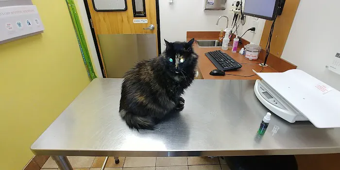 Banfield Pet Hospital 9