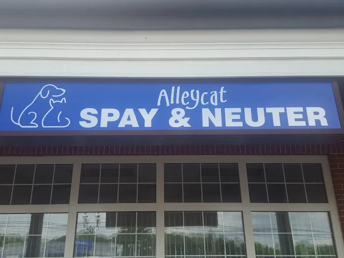 Alleycat Spay and Neuter Clinic 7