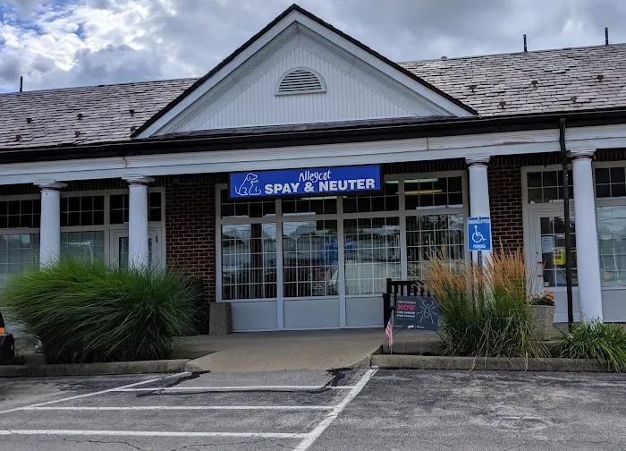 Alleycat Spay and Neuter Clinic 6