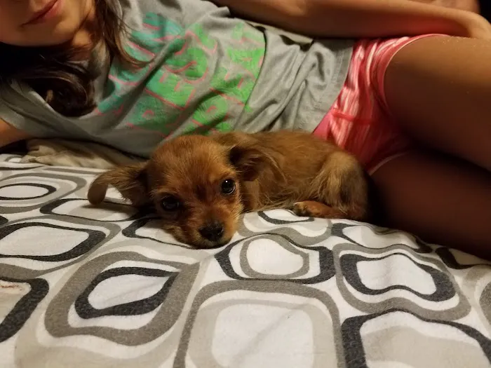 Banfield Pet Hospital 6