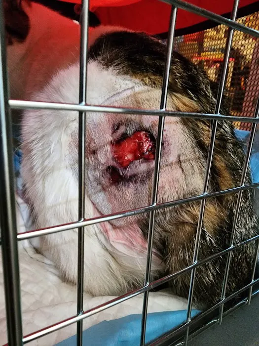 Crago Veterinary Center 8