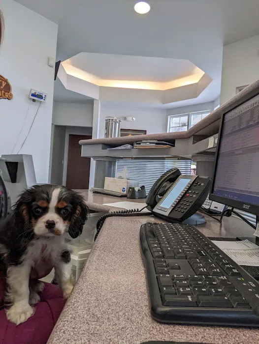 Poland Veterinary Centre 8