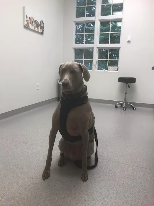 Poland Veterinary Centre 5
