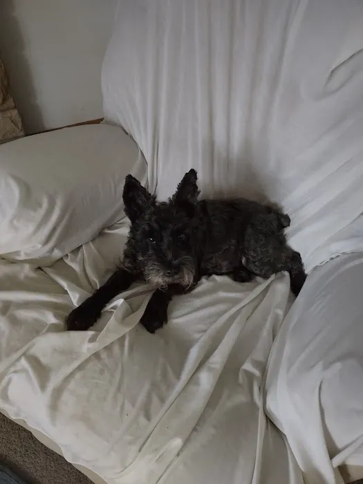 Poland Veterinary Center: Preston Tiffany DVM 1
